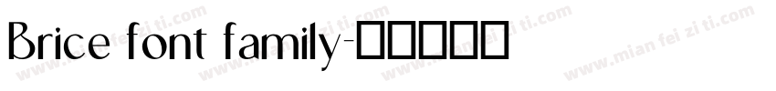 Brice font family字体转换